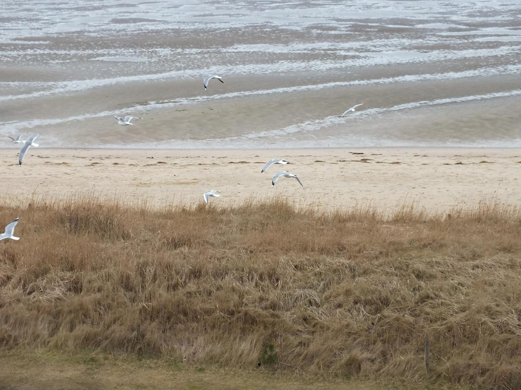 Watten-Blick 1 Cuxhaven Buitenkant foto